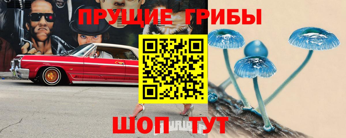 Галлюциногенные грибы прущие грибы Сибай